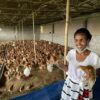 Farmers Trend Ltd.