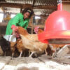 Farmers Trend Ltd.