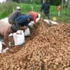 Farmers Trend Ltd.