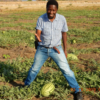 Farmers Trend Ltd.