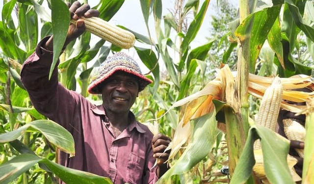 Farmers Trend Ltd.