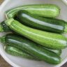 How to plant courgette (Zucchini) from day one to harvesting