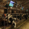 Farmers Trend Ltd.