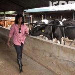 Meet Gladys Shollei - Former chief registrar of the judiciary - Dairy Empire