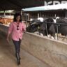 Meet Gladys Shollei - Former chief registrar of the judiciary - Dairy Empire