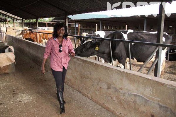 Meet Gladys Shollei - Former chief registrar of the judiciary - Dairy Empire