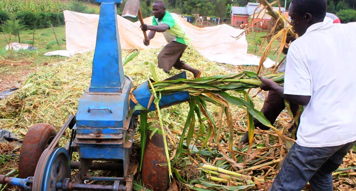 silage making