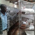 My rabbits fetches over KSh50,000 monthly – Success Story of Esmond Mwamkita