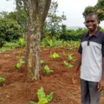 REPORT: Youths turning to farming as a side-hustle business are thriving