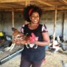 From the Studio to Farming; Meet Gospel Artist Gloria Muliro Poultry Farming Business
