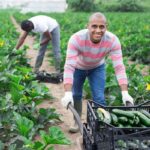 READ ON; Serious ways we can engage youths in agriculture today