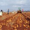 Farmers Trend Ltd.