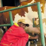 From a single cow to a thriving enterprise – success story of Kefa Farm in Makuyu Success Stories
