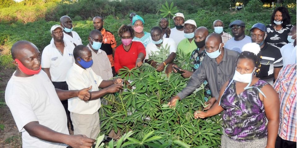 Farmers Trend Ltd.