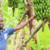 Farmers Trend Ltd.