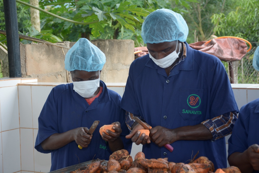 Giving biofortified foods a boost in Tanzania 1 Farmers Trend Ltd.