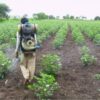 Farmers Trend Ltd.