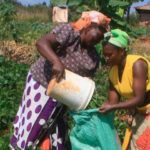 We must celebrate resilient women in agriculture sector