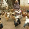 Farmers Trend Ltd.