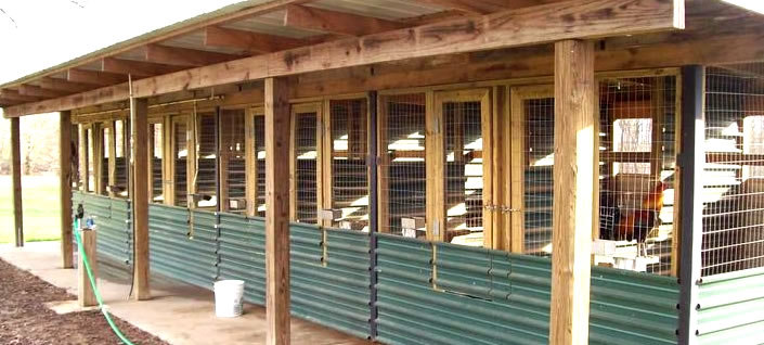 Guideline On Building A Poultry House - Farmers Trend Ltd.