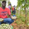 Farmers Trend Ltd.