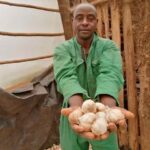 Success Story Of Timothy Mburu, A Garlic Farmer From Nyeri