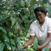 Farmers Trend Ltd.