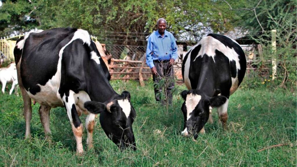 Farmers Trend Ltd.