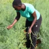 Farmers Trend Ltd.