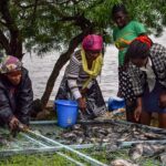 Understanding Some Of The Reason Why Some Fish Farming Businesses Fail