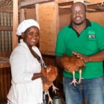 A Poultry Farming Enterprise That Helps Farmers Thrive – Success Story Of Andrew Makatiani From Kakamega County