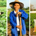 How Kenya can make agriculture more lucrative to it’s youths