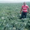 Farmers Trend Ltd.