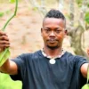 Farmers Trend Ltd.