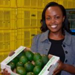 From banking to a top hass avocado exporter – Success story of Shiro Ndirangu
