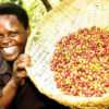 Farmers Trend Ltd.