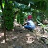 Farmers Trend Ltd.
