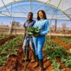 Farmers Trend Ltd.
