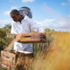 Farmers Trend Ltd.