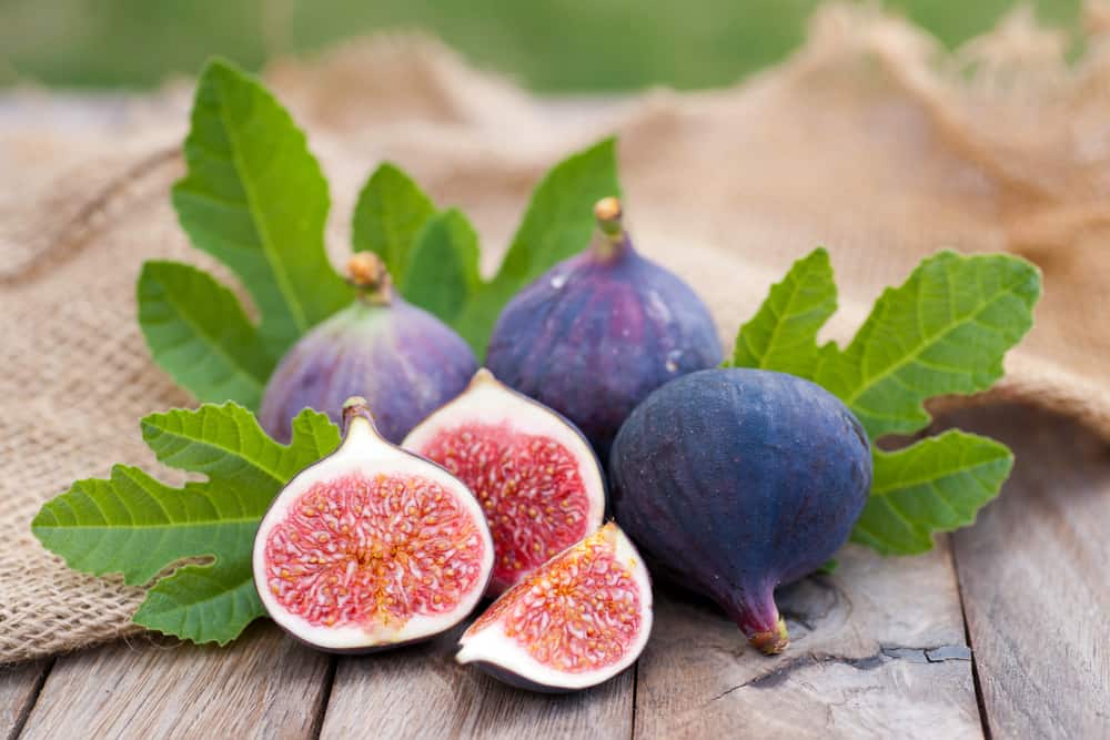 Fig Fruit Farming In Kenya, How To Plant And Where To Buy Seedlings 1 Farmers Trend Ltd.