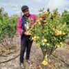 Farmers Trend Ltd.