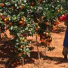 Farmers Trend Ltd.
