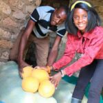 Sweet Money For Sweet Melon Farmers In Kwale County