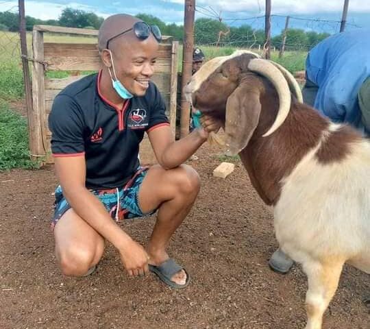 Goat farming in Kenya