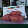 Farmers Trend Ltd.
