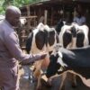 Farmers Trend Ltd.
