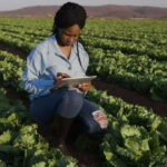 WAYS YOUNG FARMERS CAN SUCCEED IN FARMING