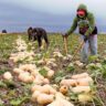 Farmers Trend Ltd.