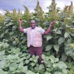 amaranth farming in kenya