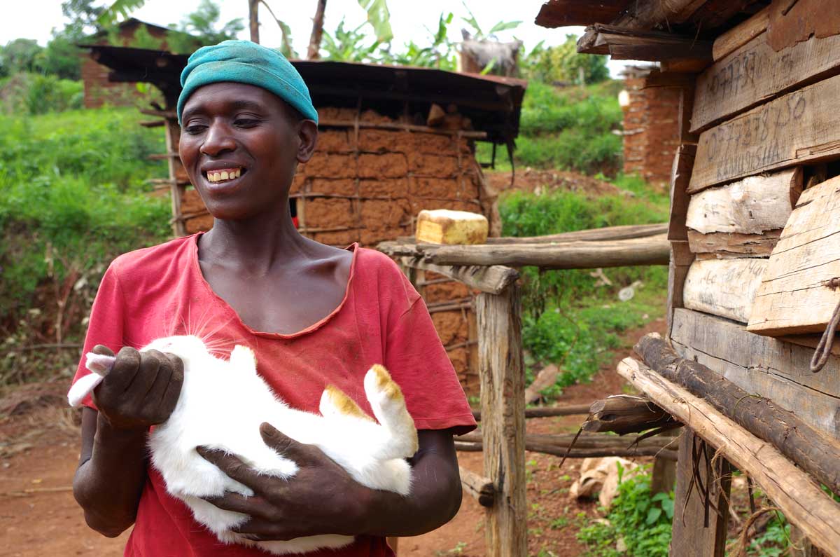 rabbit farming in kenya happy farmer